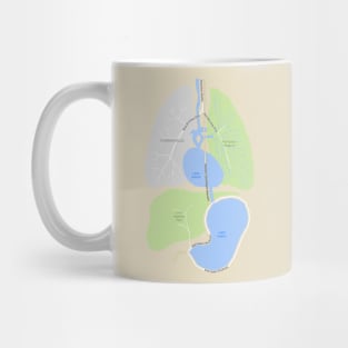 Internal Organs Street Map Mug